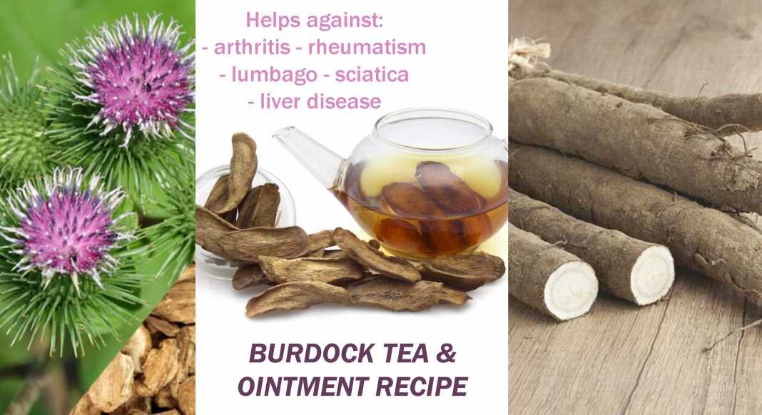 Remove Toxins from Your Body with Burdock Tea & Treat Wounds, Burns